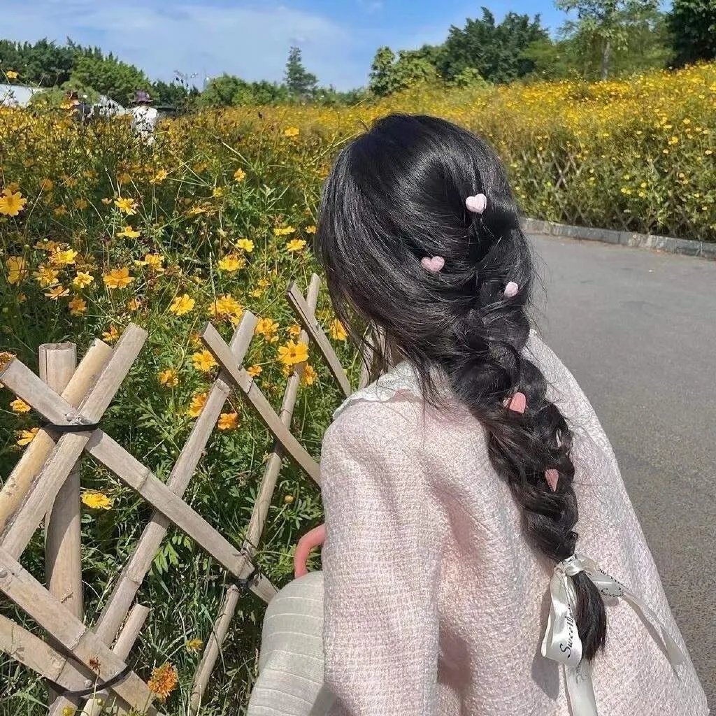 凤舞龙翔